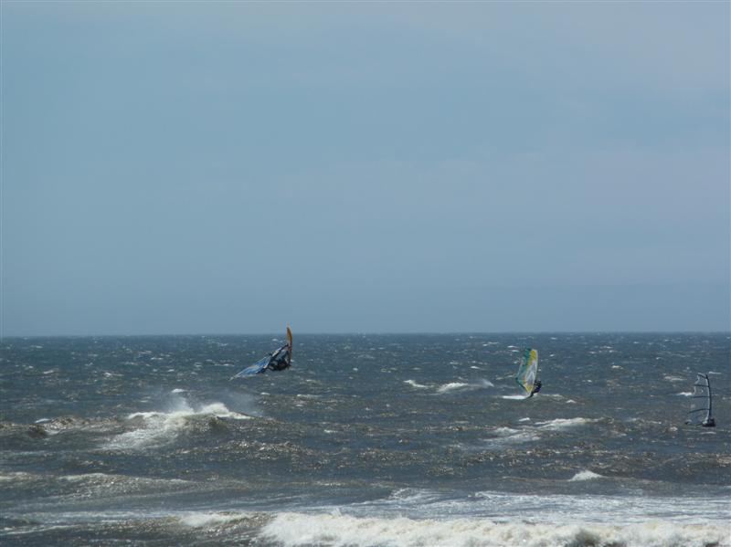 WDoc tyring to escape the salt spray
