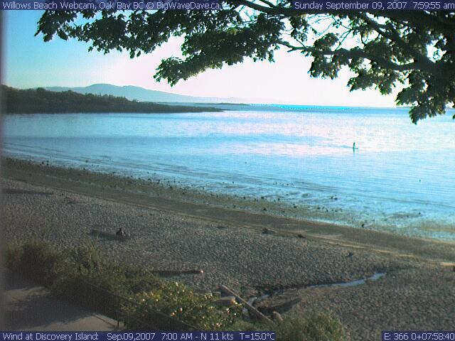 glassy morning SUP workout
definitely some long stares from the beach when you're paddling around on an old windsurfer
