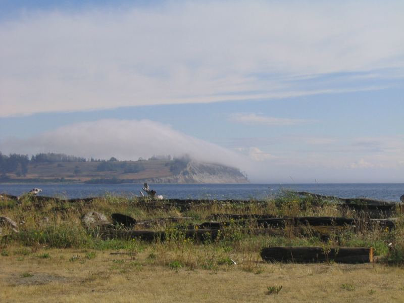 James Island August fog forming
