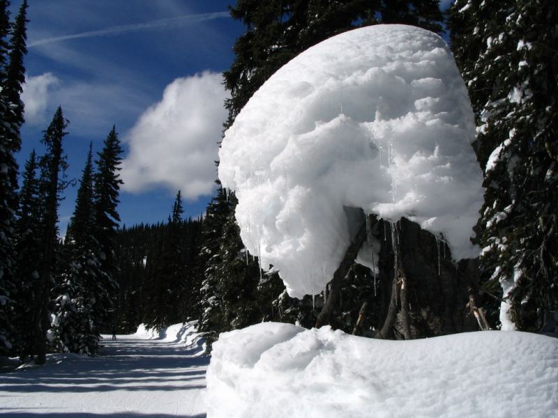 Manning Park, Spring Day
