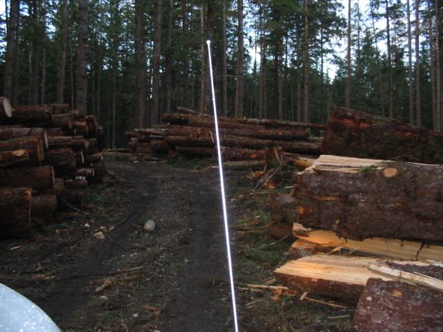 East side carnage
view of the dense horizontal forest en route out, you can almost see the river
