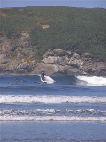 Chubbs in glass  JF Pix
Cape Sebastian, dodging surfers
