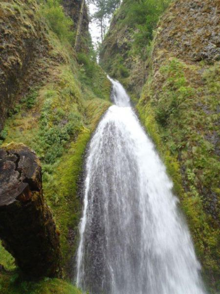 Wahkeena Falls, Gorge
