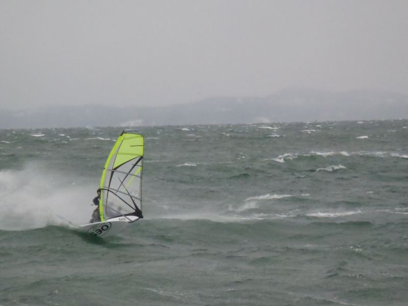 Wee bit OP in near 40 gusts
