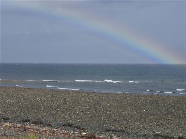 Taken thru the breakfast room window  ;)
