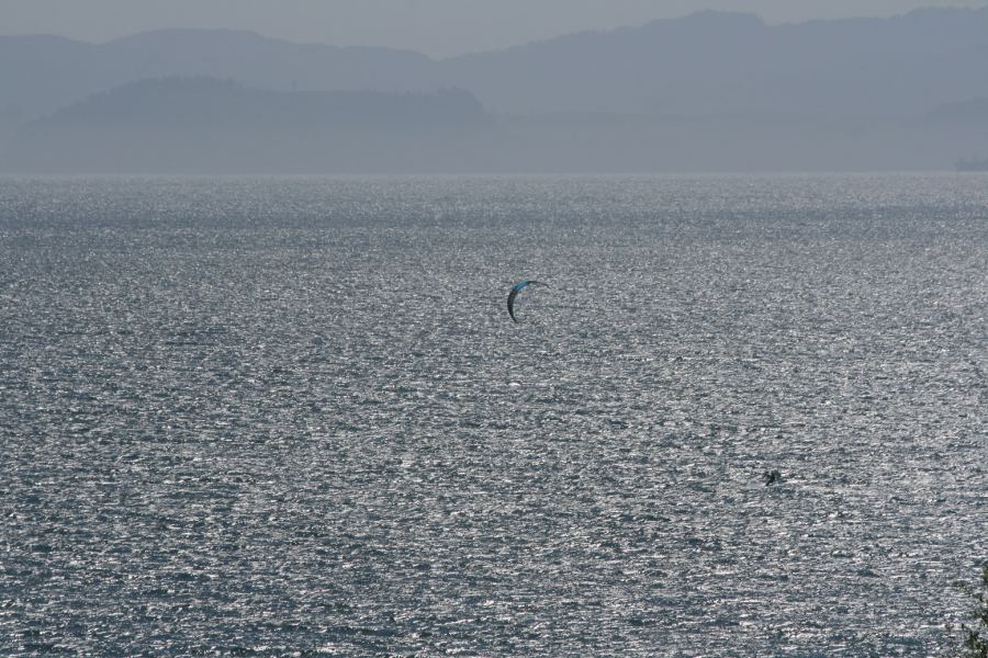 Doc on the Sparkling Sea at Gordon's
