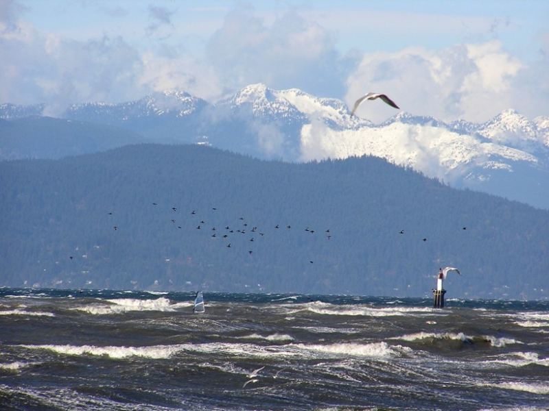 2006 Feb 13 @ Acadia - two in flight
