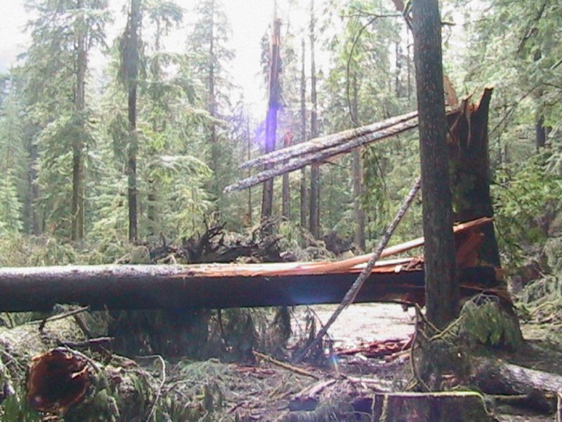 Nitinat Storm Damage 
