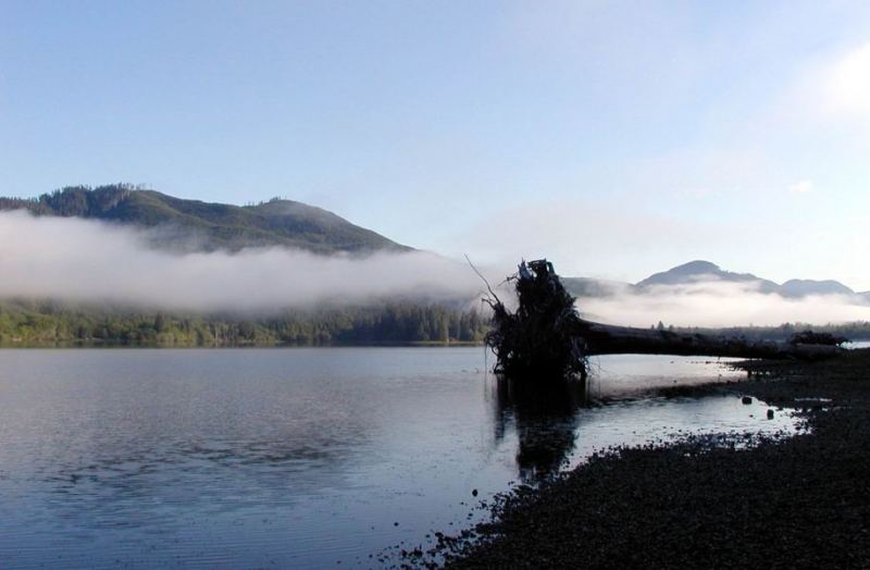 Early morning fog.
