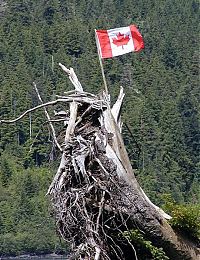 0507-Nit-E-Canada Day.jpg