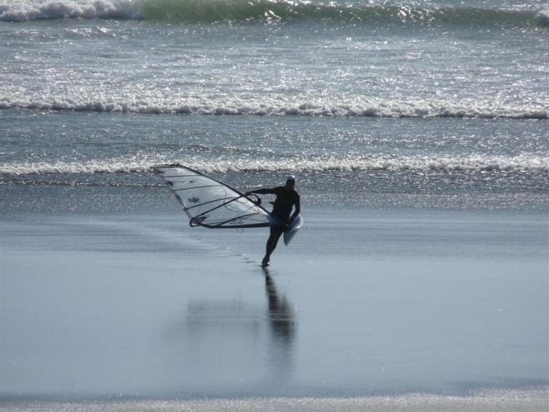 TheLaw plowing the wind
