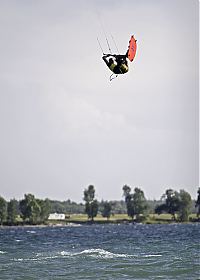 wolfe island brent1.jpg