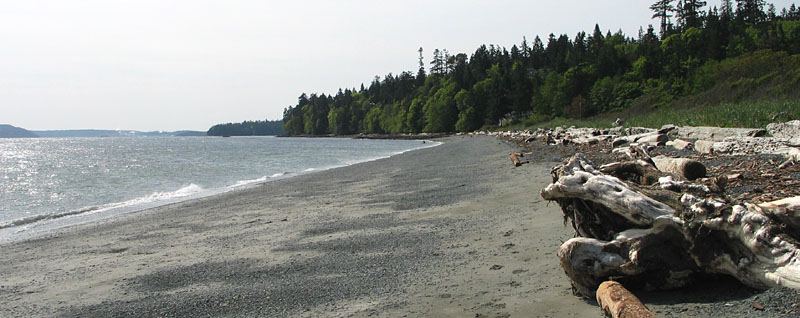 Pipers_beach_looking_south.jpg