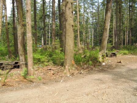 taken from beside the "mosquito alley" outhouse...you can see the lake from here!
