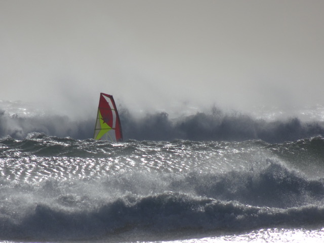 Tofino
