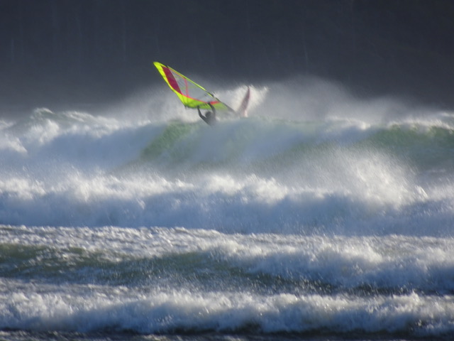 Jesse
Tofino
