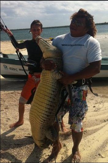 Paco Holding a Salt Water Croc in Cozumel...
Bad quality, print screen on facebook. Marty, is there salt water croc in Tulum as well? I prefer the sea lion :)
