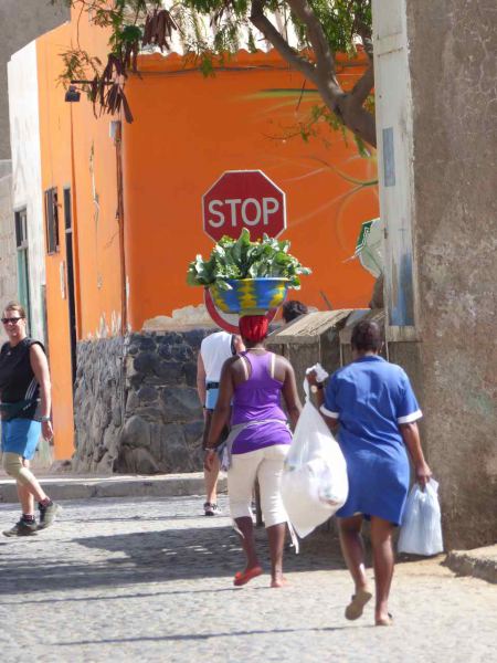 Local Veggie Vendors
