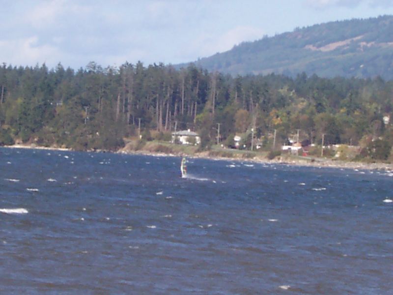 Pat Bay - lone windsurfer
