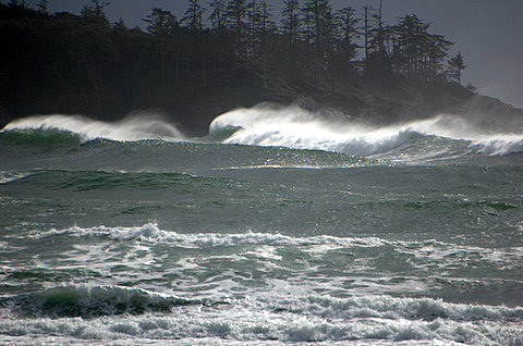 Classic Cox Bay
March 21, 2008, Cox Bay "going off".
