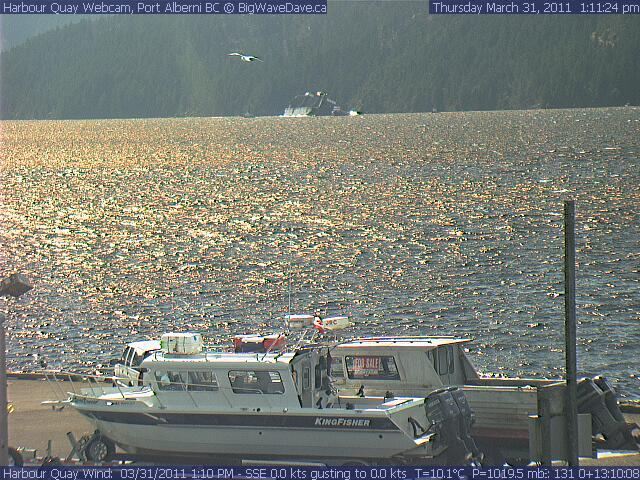 Log Barge dumping in the inlet
I just zoomed out one click before this shot. Doh!
