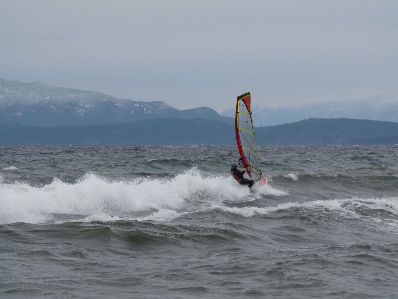 Windsurfish, San Pareil
