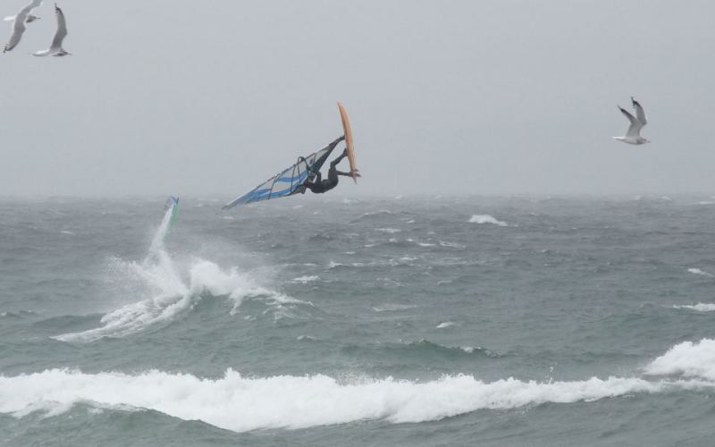 Got this nice shot of some seagulls today!
Hard to just focus on the wildlife when there is always some windsurfer getting in the way!
