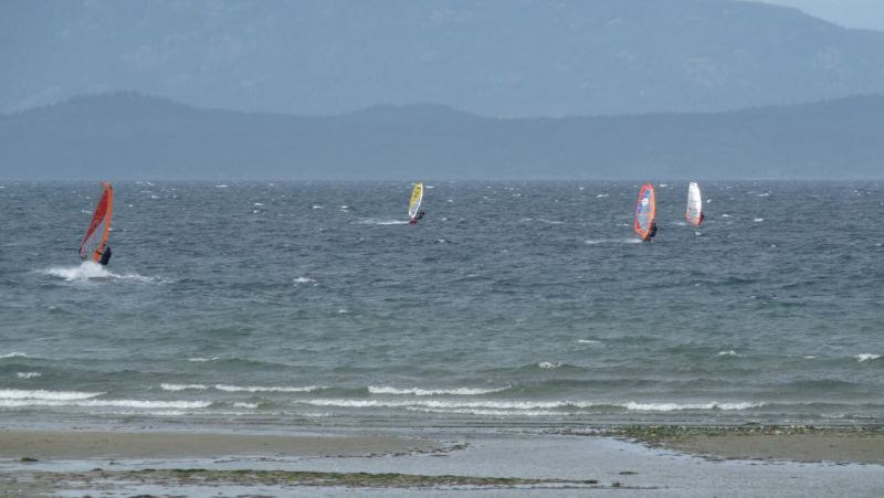 SP ESE
Rare group windsurfer sighting
