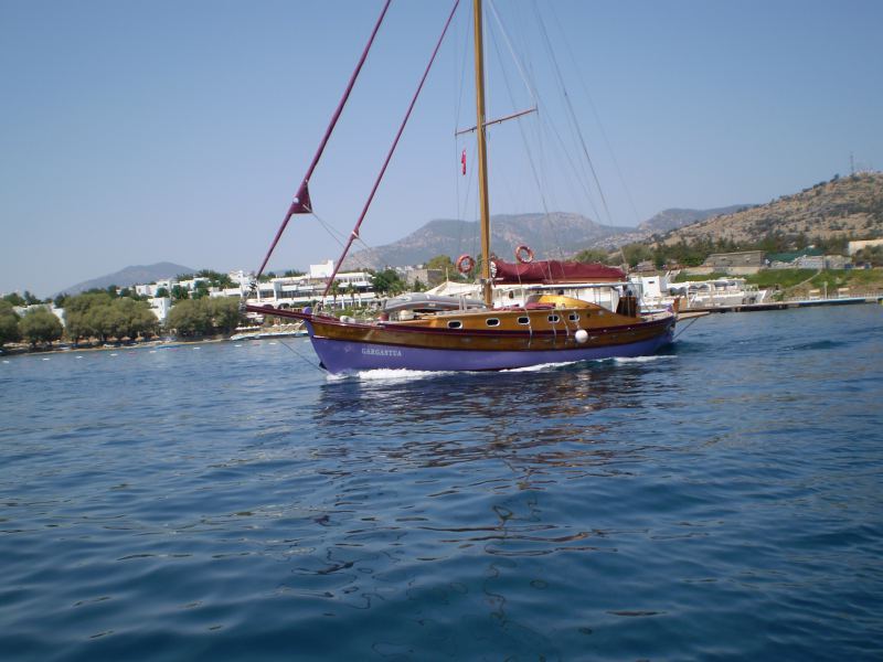 Bodrum
I like this purple and wood one.
