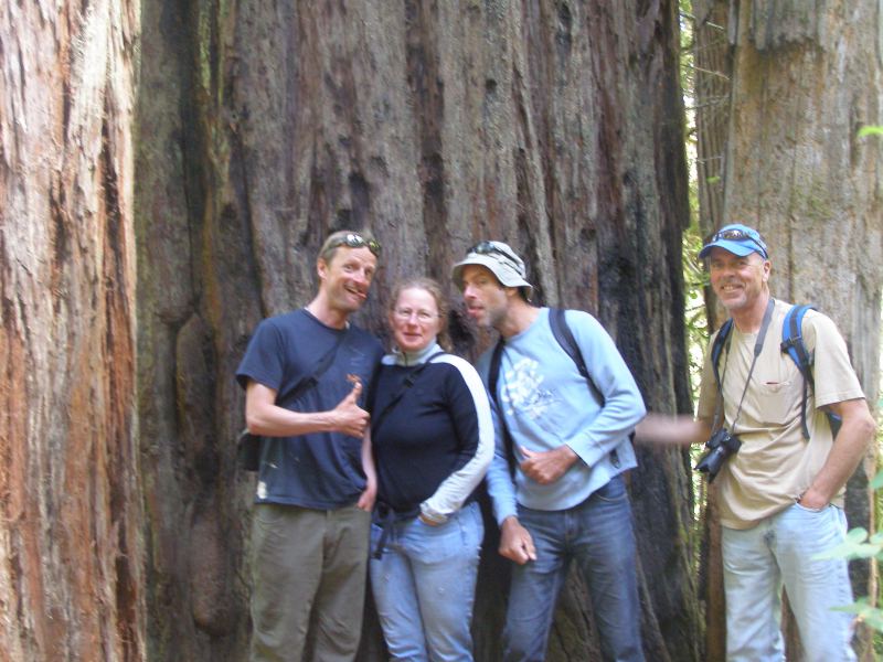 Oregon trip 2010
Side Trip to the Redwood Forest!!
