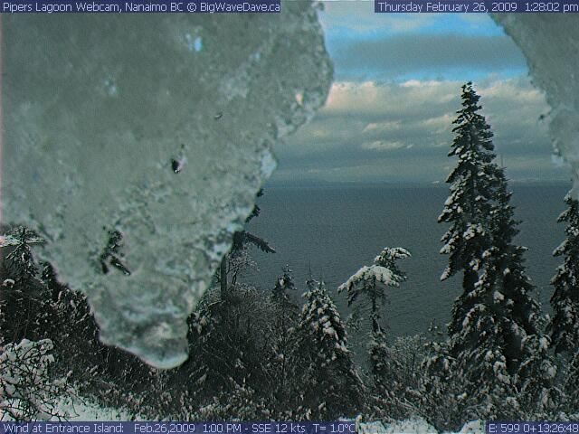 Spring Thaw/ View from the Igloo
