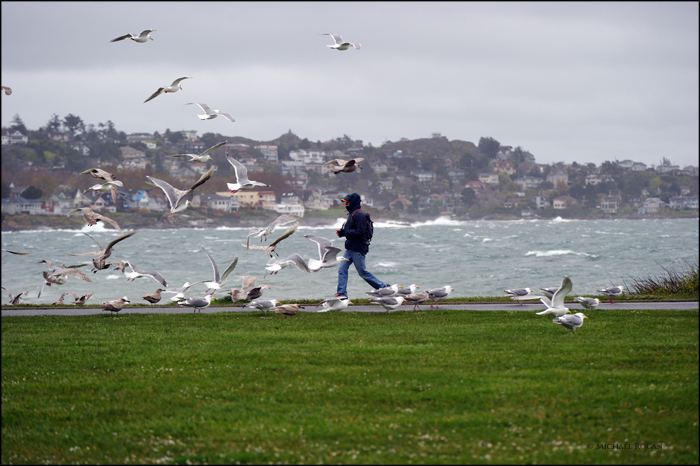 April 2 2010 Clover Point Joy
