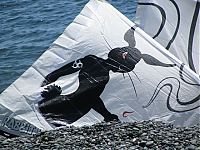 IMG_1273Rabbitkite.jpg