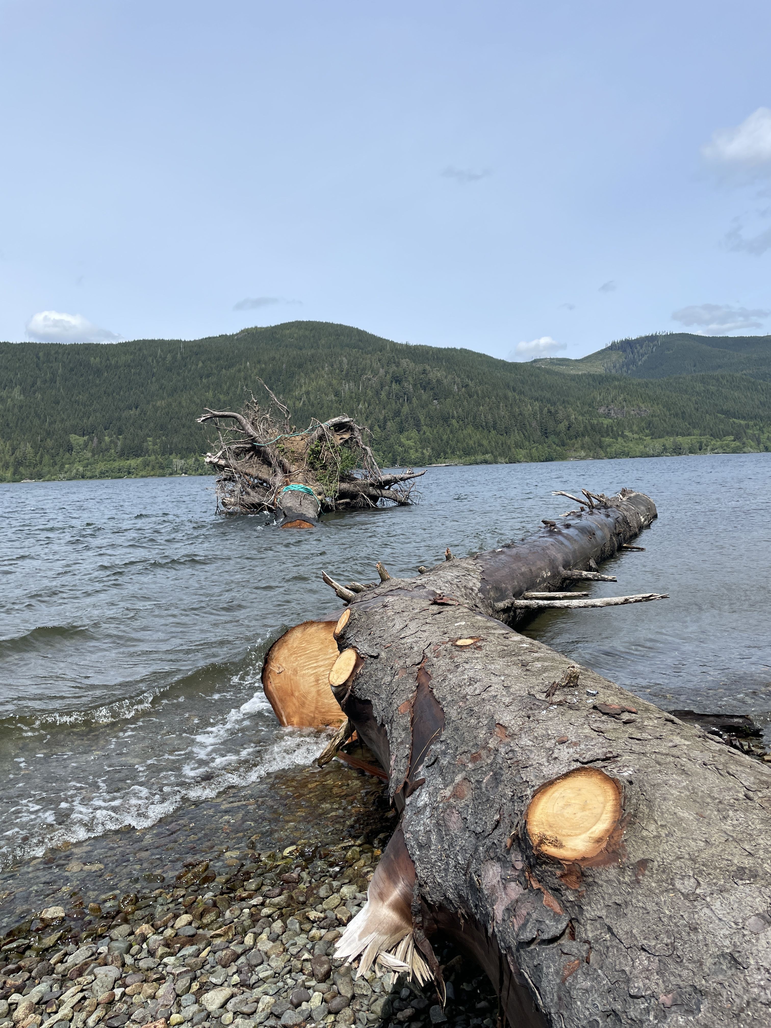 IMG_1773
How the log blocked the beach
