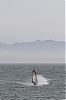 20130605_gordons-windsurf_0328~0.JPG