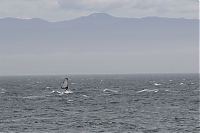 20130605_gordons-windsurf_0361.JPG