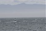 20130605_gordons-windsurf_0361~0.JPG