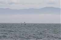 20130605_gordons-windsurf_0365.JPG