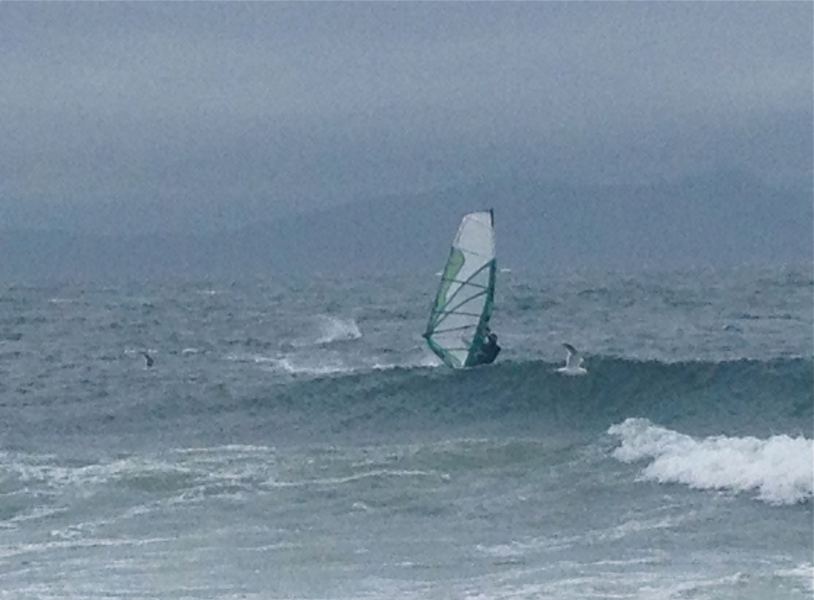 Sealion making a splash behind Gwind
