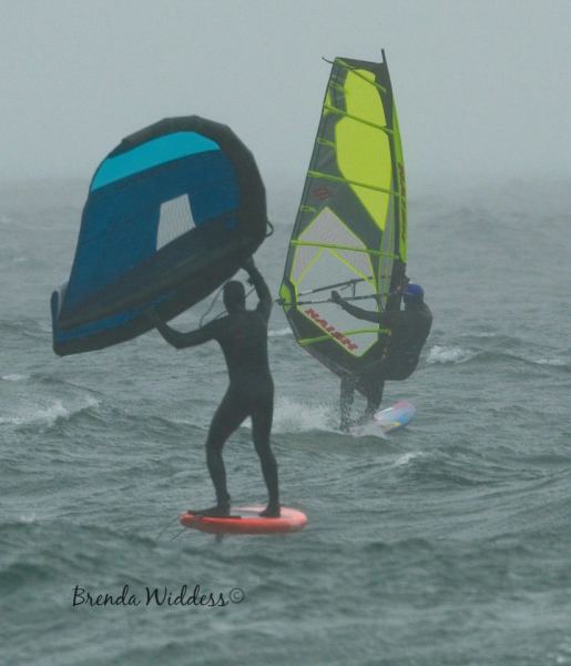 windsurf55.jpg